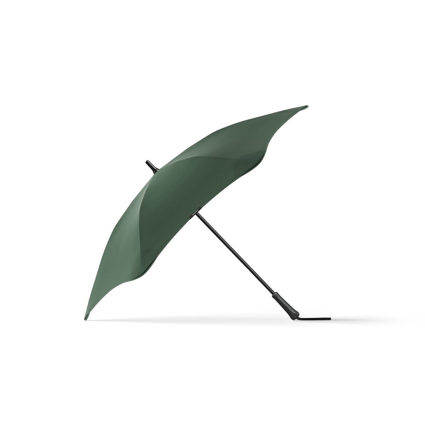 #color_forest green